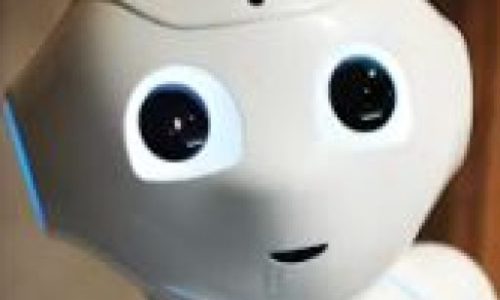 Understanding Robophobia: Exploring Fear and Resistance Towards Robots